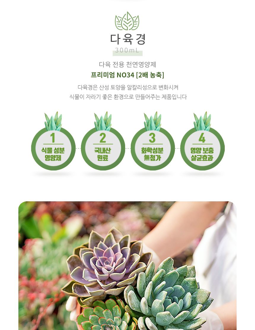 국산 식물영양 살균 다육경 플러스 300ml/다육/다육식물/다육이키우기/영양제/다육전용/식물/원예용/정원/