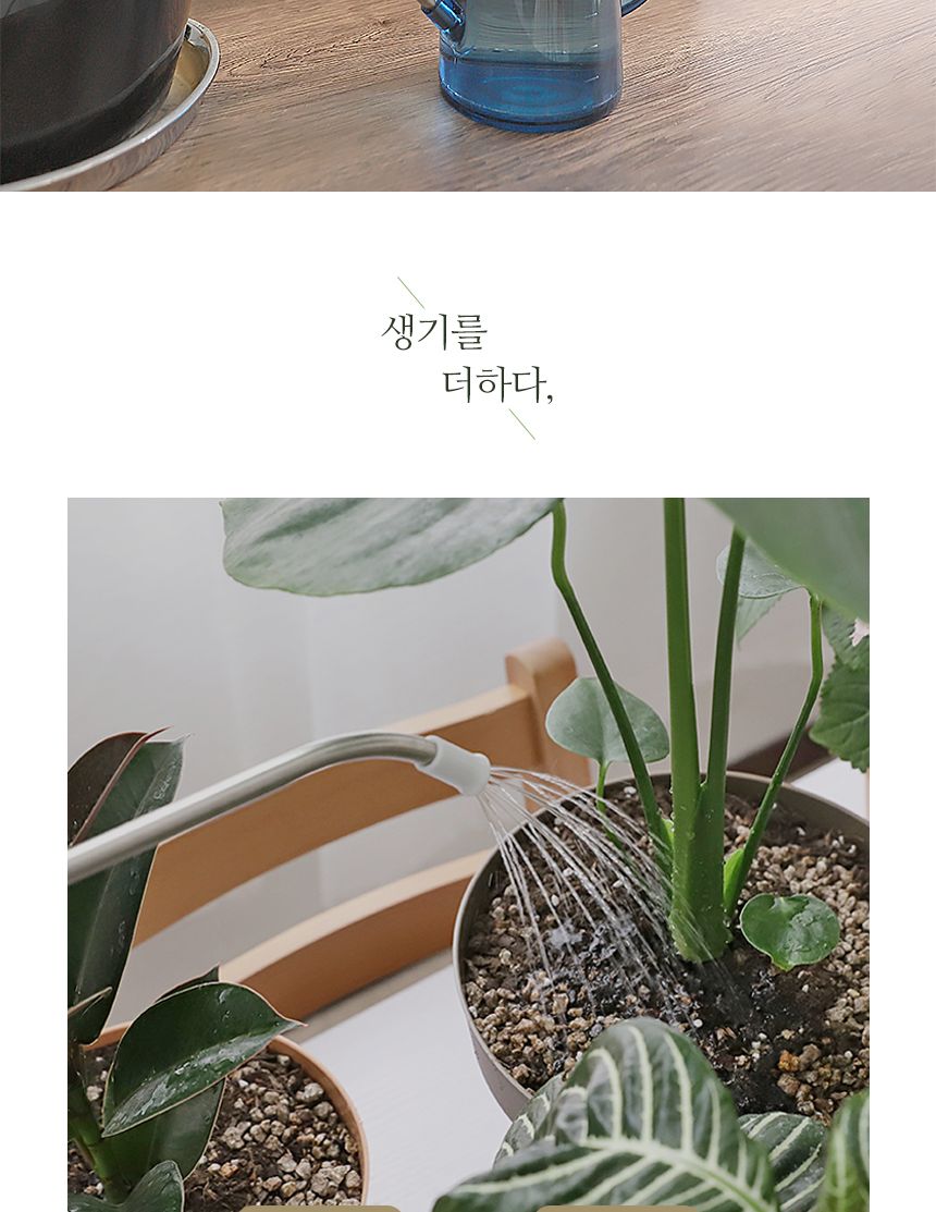 국산 식물영양 살균 다육경 플러스 300ml/다육/다육식물/다육이키우기/영양제/다육전용/식물/원예용/정원/