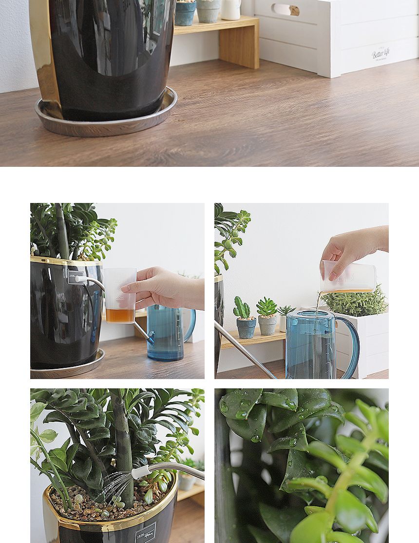 국산 식물영양 살균 다육경 플러스 300ml/다육/다육식물/다육이키우기/영양제/다육전용/식물/원예용/정원/