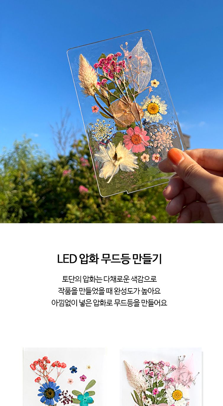 LED 압화 무드등 만들기 키트 취미 조명 DIY/공작재료/만들기재료/조명키트/무드등키트/무드등재료/조명만