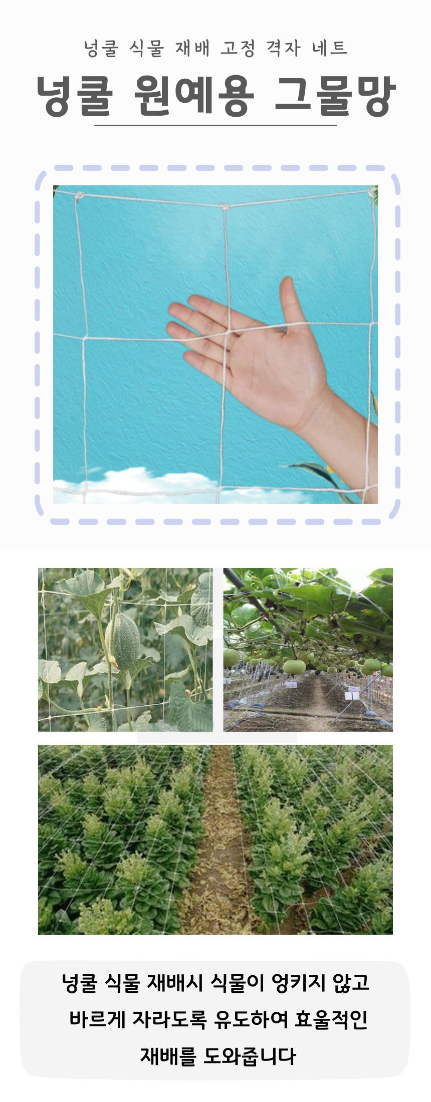 식물 덩쿨망/식물키우기/농사/농사용/텃밭용품/텃밭가꾸기/네트/그물망사/넝쿨울타리/가든용품/텃밭/호박/