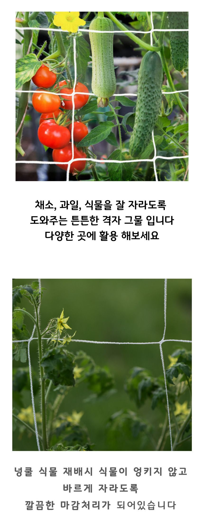 식물 덩쿨망/식물키우기/농사/농사용/텃밭용품/텃밭가꾸기/네트/그물망사/넝쿨울타리/가든용품/텃밭/호박/