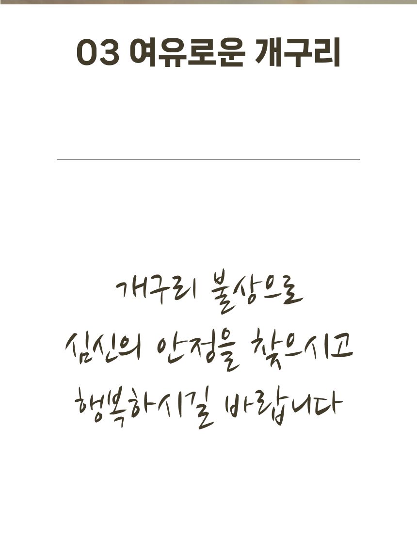불교 박람회 굿즈 개구리 부처상 미니 불상 부처님상/불교개구리/개구리불교/불상개구리/개구리불상/불교굿