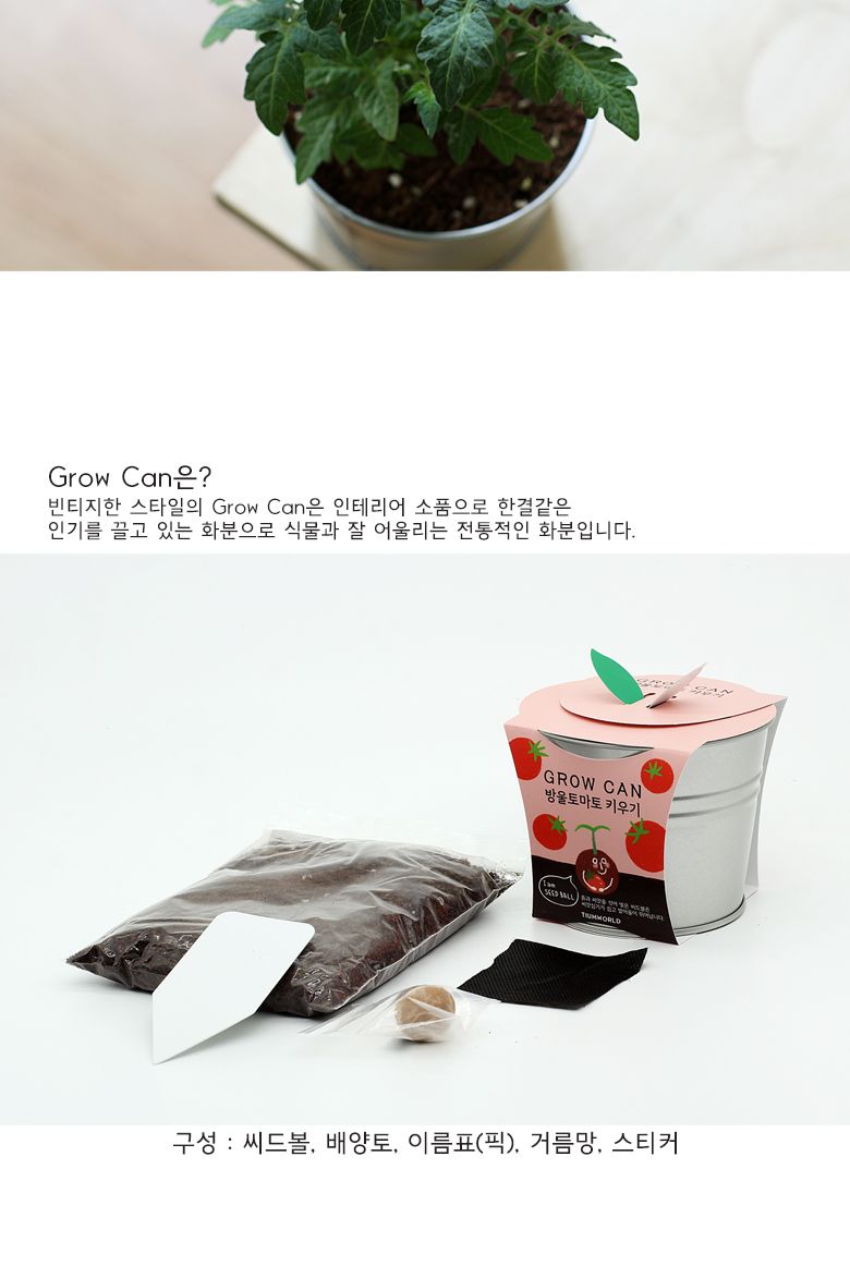 그로우캔 방울토마토/엄마표미술/홈스쿨링/만들기/집콕만들기/아동미술만들기/DIY키트/미술놀이/놀이키트/