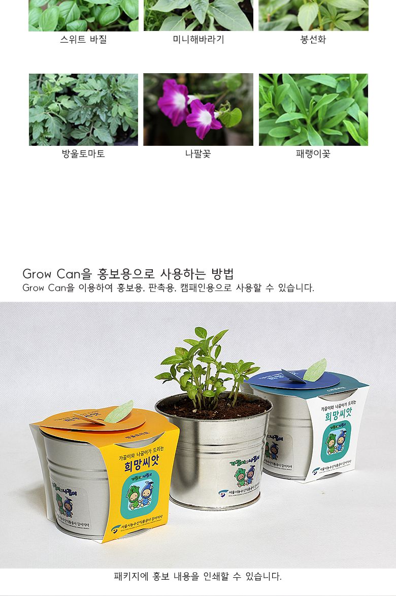 그로우캔 방울토마토/엄마표미술/홈스쿨링/만들기/집콕만들기/아동미술만들기/DIY키트/미술놀이/놀이키트/