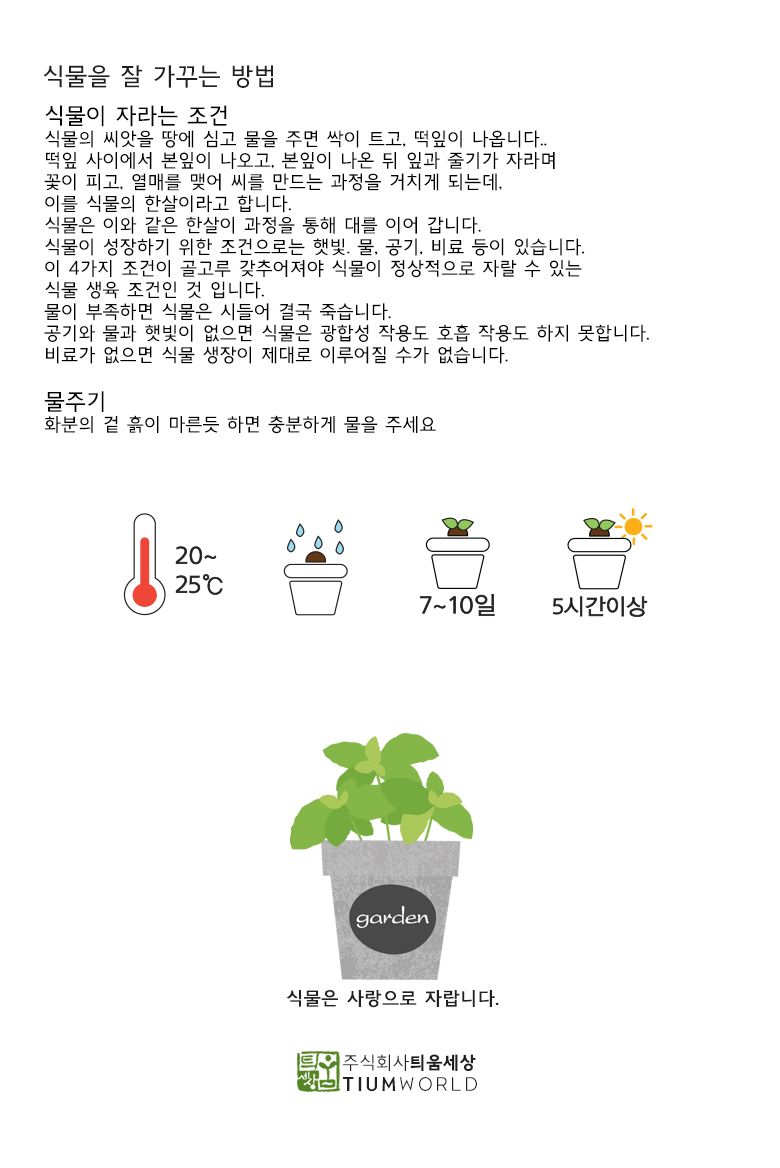 그로우캔 방울토마토/엄마표미술/홈스쿨링/만들기/집콕만들기/아동미술만들기/DIY키트/미술놀이/놀이키트/
