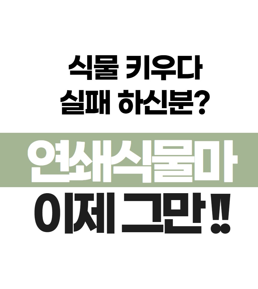 화분형 식물재배기 수경재배 가정용 스마트팜 재배기/식물재배기/수경재배/식물등/스마트팜/식물키우기/가