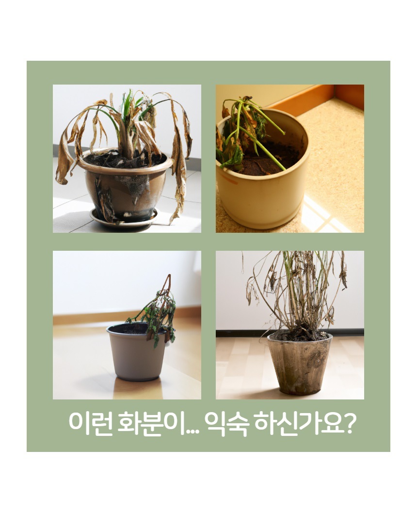 화분형 식물재배기 수경재배 가정용 스마트팜 재배기/식물재배기/수경재배/식물등/스마트팜/식물키우기/가