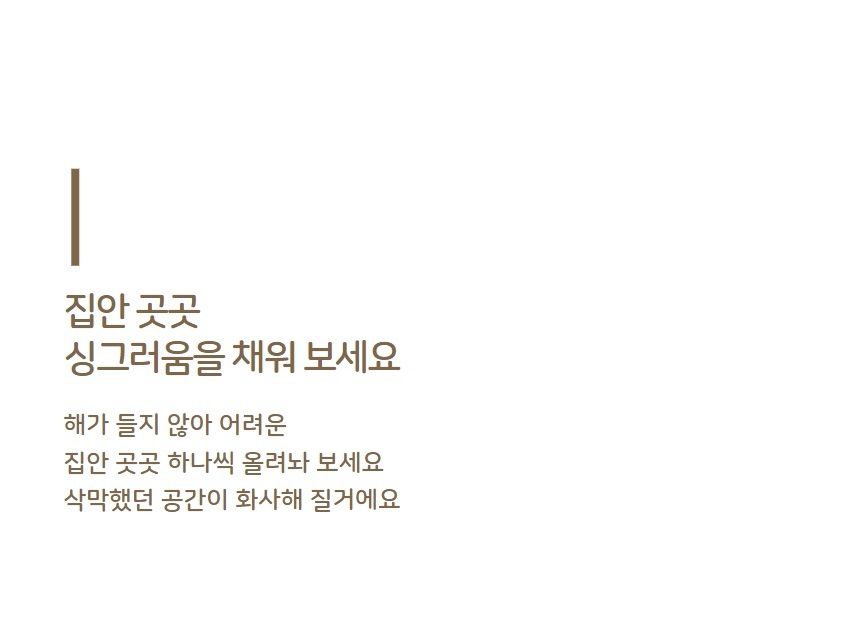 화분형 식물재배기 수경재배 가정용 스마트팜 재배기/식물재배기/수경재배/식물등/스마트팜/식물키우기/가