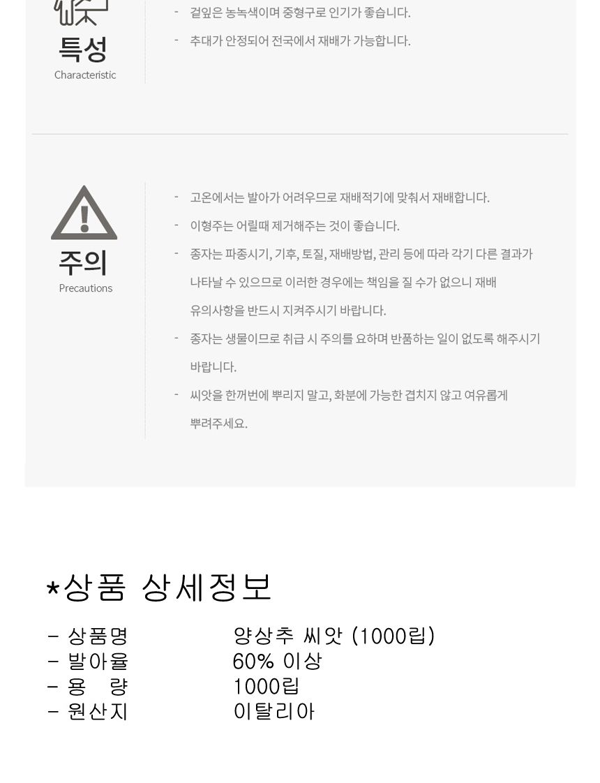 양 상추 셀러드 야채 채소 식물 씨 종자 씨앗 1000립/양상추종자/양상추씨/양상추씨앗/씨/씨앗/종자/야채씨