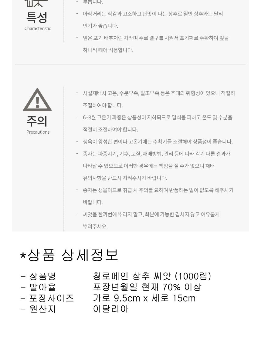 청로메인 상추 야채 채소 식물 씨 종자 씨앗 1000립/로메인종자/로메인씨/로메인씨앗/씨/씨앗/종자/야채씨