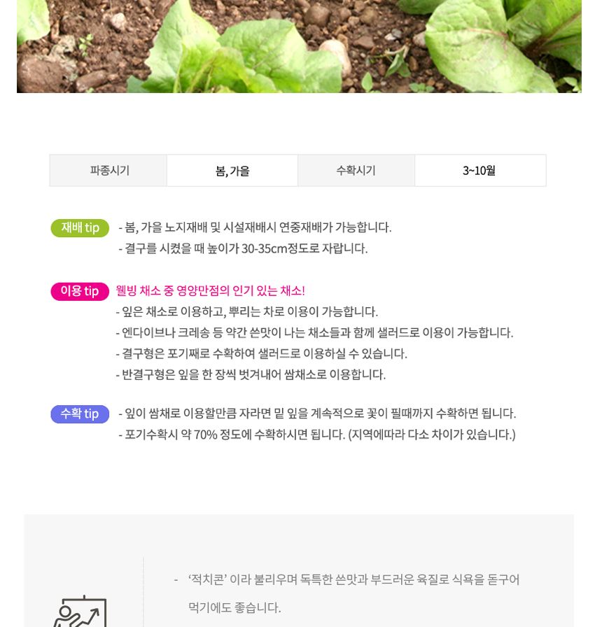 식용 트레비소 셀러드 야채 채소 씨 종자 씨앗 1000립/트레비소종자/트레비소씨/트레비소씨앗/씨/씨앗/종자