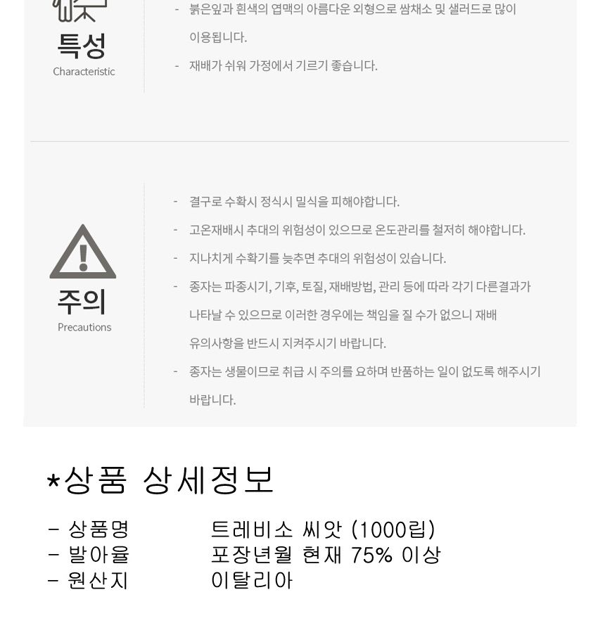 식용 트레비소 셀러드 야채 채소 씨 종자 씨앗 1000립/트레비소종자/트레비소씨/트레비소씨앗/씨/씨앗/종자