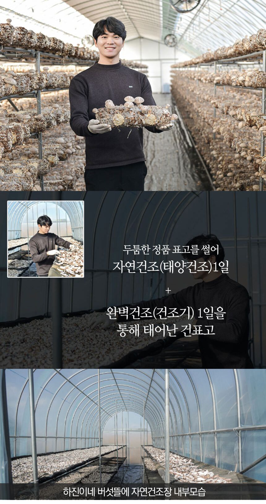 국내산 표고버섯 분말 100g/표고버섯/표고버섯분말/표고버섯가루/가루/버섯가루/버섯분말/버섯파우더/표고