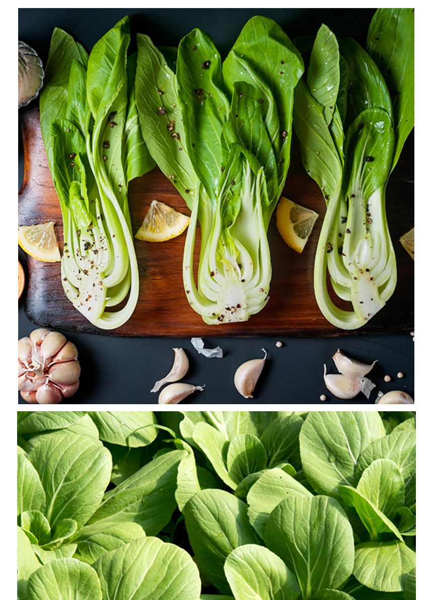 청경채 셀러드 야채 채소 식물 씨 종자 씨앗 1500립/청경채종자/청경채씨/청경채씨앗/씨/씨앗/종자/야채씨