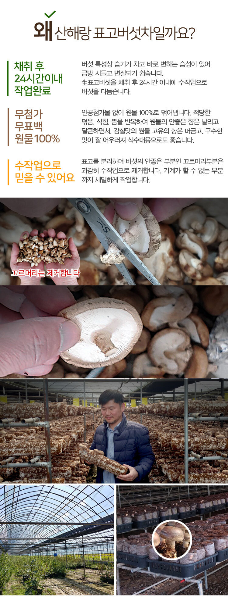 산해랑 프리미엄 수제 볶은 표고버섯차 100g/차/원물차/버섯차/건버섯/건버섯차/버섯물/표고버섯차/표고차/