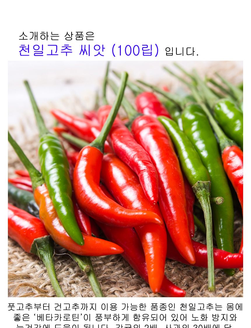 적 천일 풋 건 고추 야채 채소 씨 종자 씨앗 100립/고추종자/고추씨/고추씨앗/씨/씨앗/종자/야채씨앗/야채