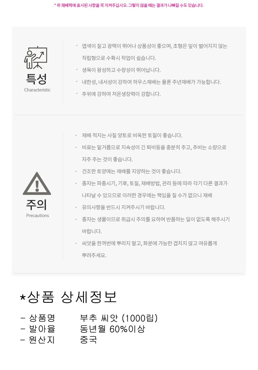 그린벨트 부추 셀러드 야채 채소 씨 종자 씨앗 1000립/부추종자/부추씨/부추씨앗/씨/씨앗/종자/야채씨앗/야