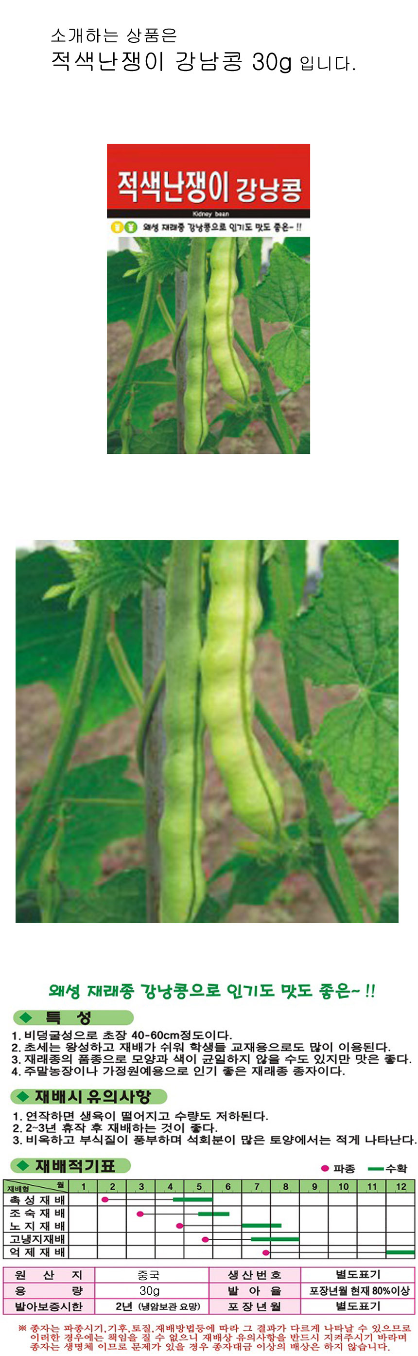 적색 난쟁이 강남콩 채소 씨앗 껍질콩 종자 풋콩 30g/강남콩씨/강남콩종자/강남콩씨앗/씨/씨앗/종자/콩씨앗