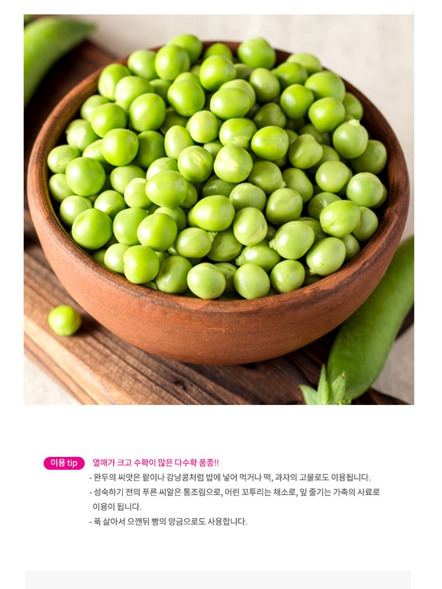 완두 약콩 채소 씨앗 밥 껍질 품종 종자 풋 콩 500g/완두씨/완두종자/완두씨앗/씨/씨앗/종자/야채씨앗/야채