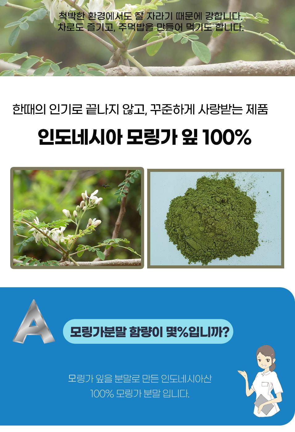 모링가분말 250g 밀폐통 인도네시아 모링가잎 가루/분말/가루/모링가/모링가잎/건조모링가잎/모링가가루/모