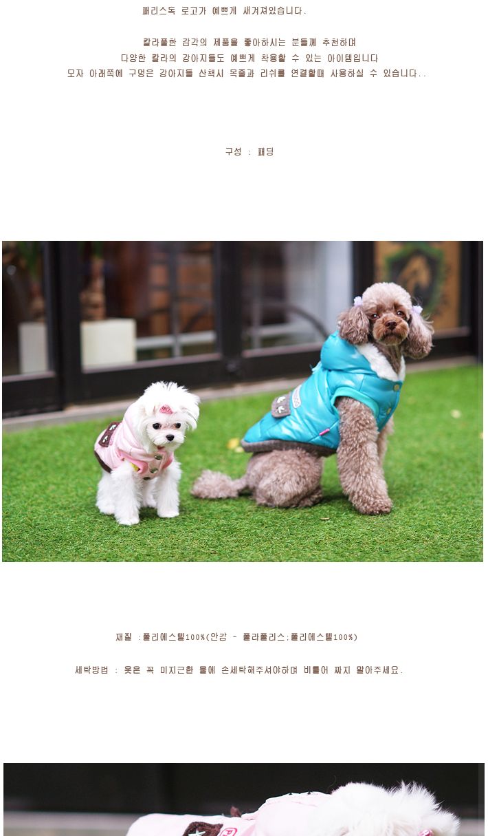 강아지 유광 패딩 블루S 입기 편한 강아지 옷 10초/강아지패딩/강아지점퍼/강아지옷/강아지조끼/반려동물옷
