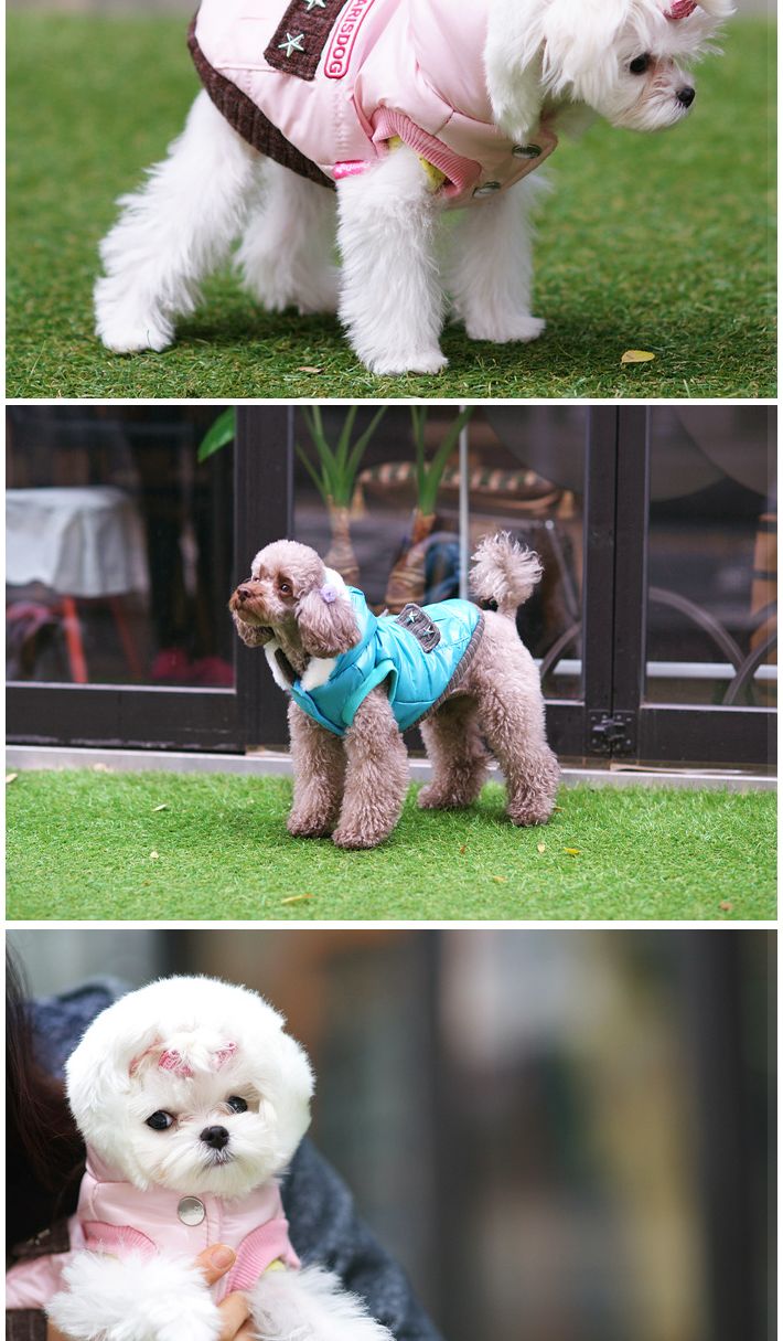 강아지 유광 패딩 블루S 입기 편한 강아지 옷 10초/강아지패딩/강아지점퍼/강아지옷/강아지조끼/반려동물옷