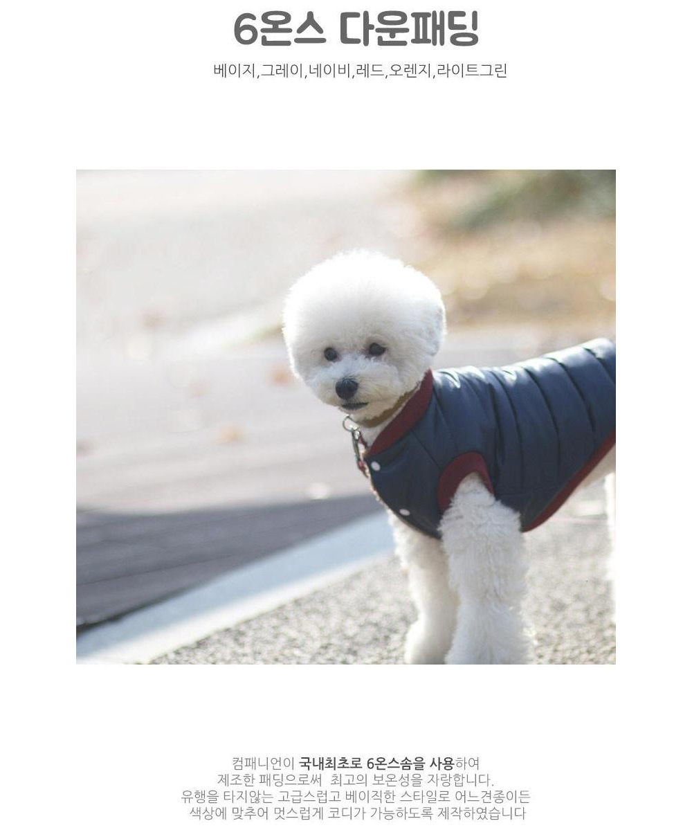 강아지 유광 패딩 (그린) 입기 편한 강아지 옷 10초/펫패딩조끼/강아지겨울조끼/강아지패딩/강아지점퍼/강