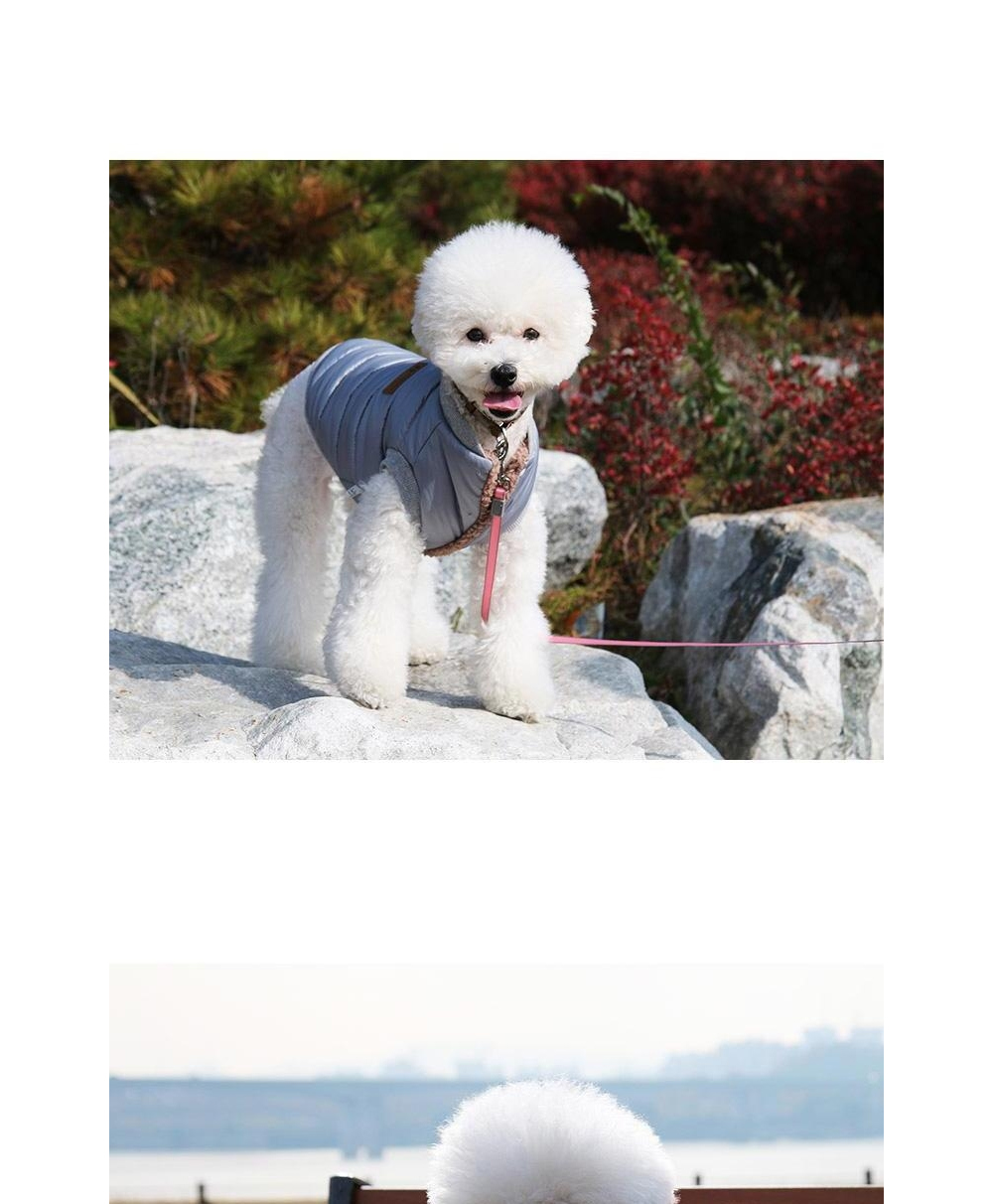 강아지 유광 패딩 (그린) 입기 편한 강아지 옷 10초/펫패딩조끼/강아지겨울조끼/강아지패딩/강아지점퍼/강