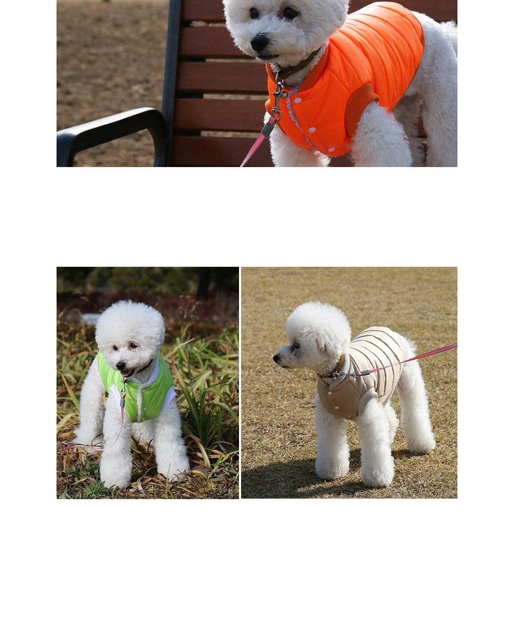 강아지 유광 패딩 (그린) 입기 편한 강아지 옷 10초/펫패딩조끼/강아지겨울조끼/강아지패딩/강아지점퍼/강