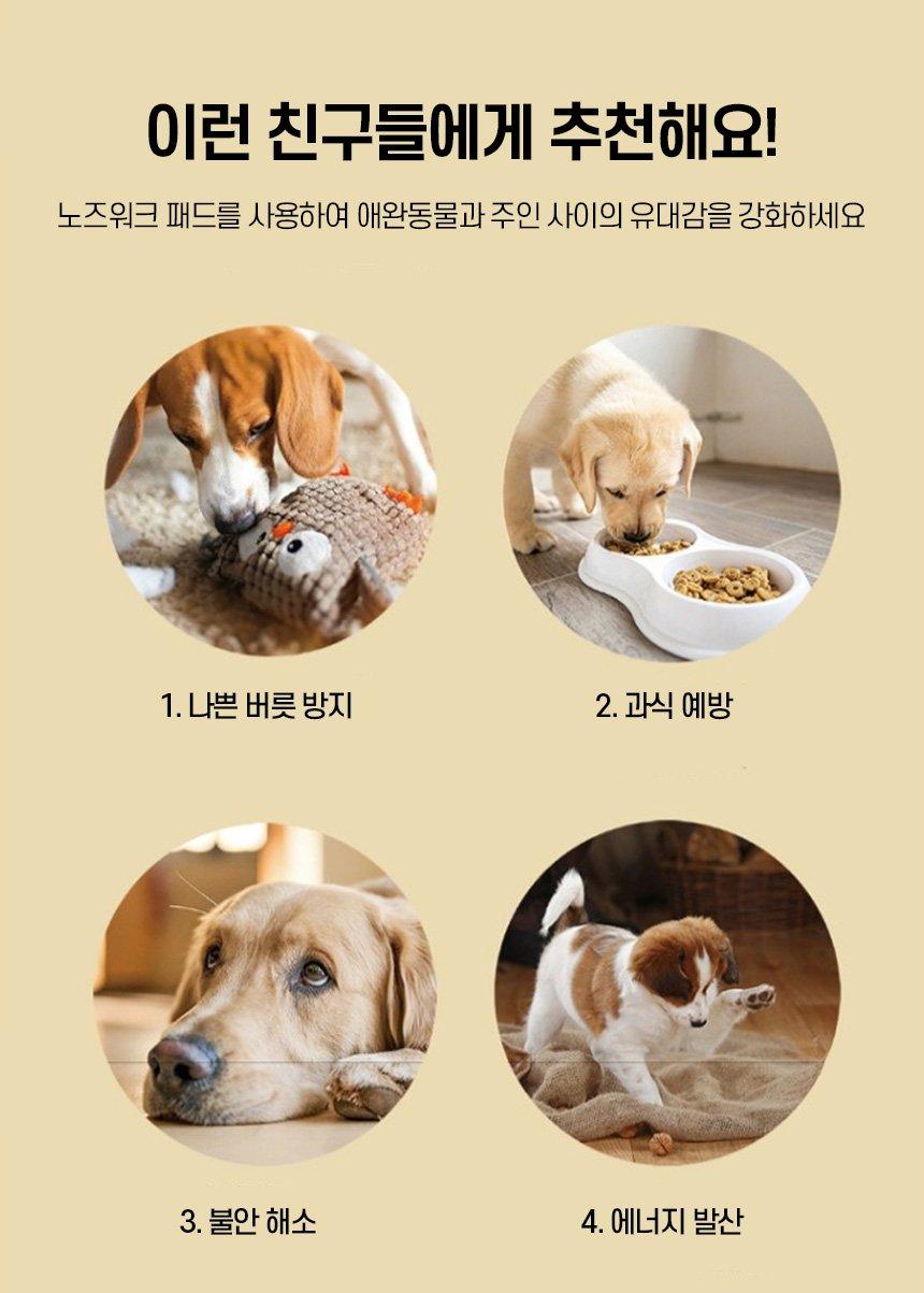 피크닉 노즈워크 패드 간식숨기기 강아지 장난감 매트/간식숨기기/강아지노즈워크/강아지분리불안해소/강아