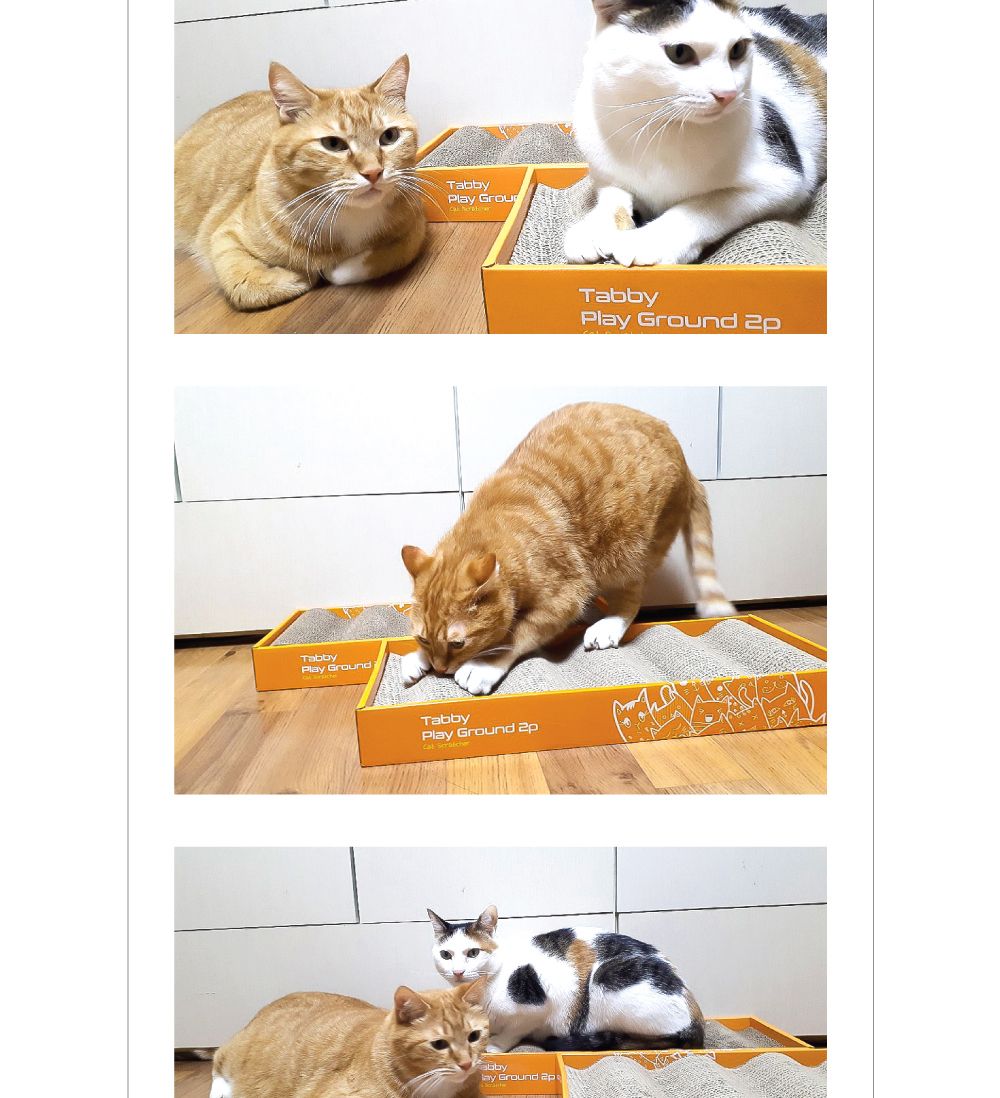 고양이 양면 사각 평판 파도 스크레쳐 2PX3개/고양이스크래쳐/양면스크래처/사각스크래쳐/평판스크레쳐/평
