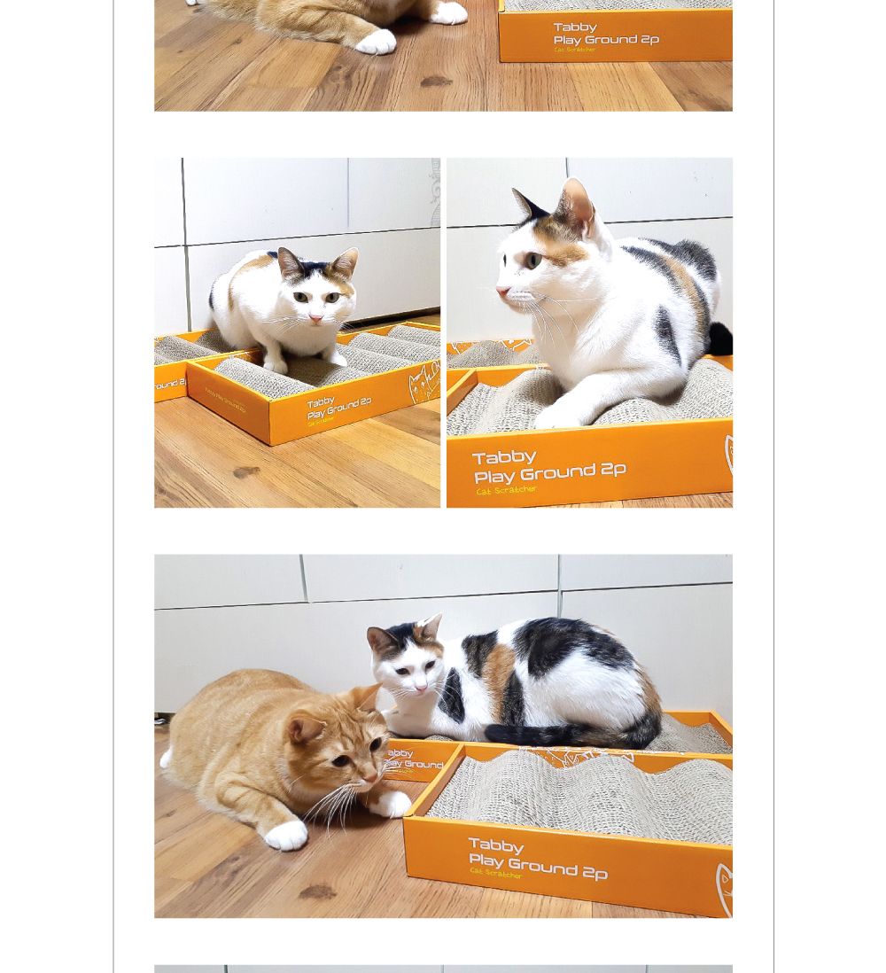 고양이 양면 사각 평판 파도 스크레쳐 2PX3개/고양이스크래쳐/양면스크래처/사각스크래쳐/평판스크레쳐/평