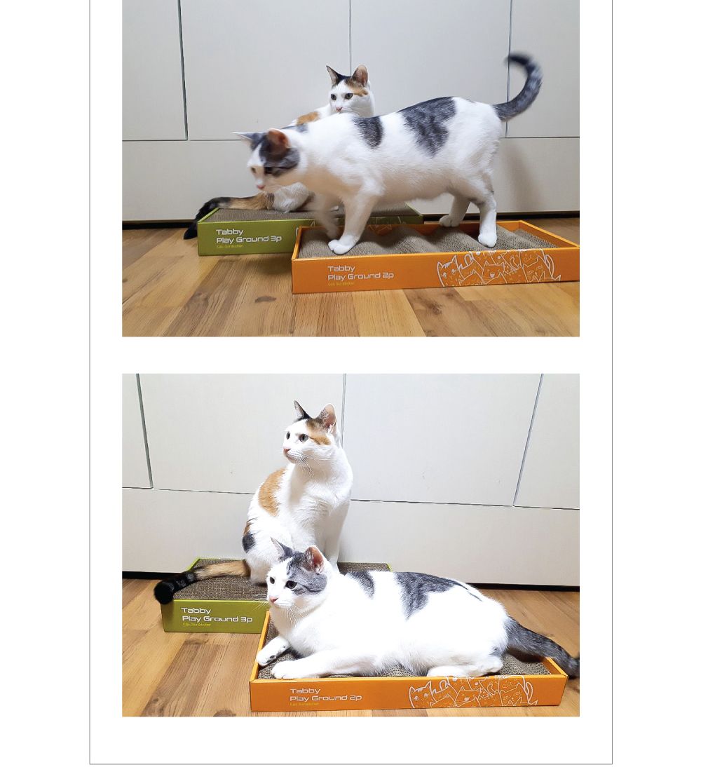 고양이 양면 사각 평판 파도 스크레쳐 2PX3개/고양이스크래쳐/양면스크래처/사각스크래쳐/평판스크레쳐/평