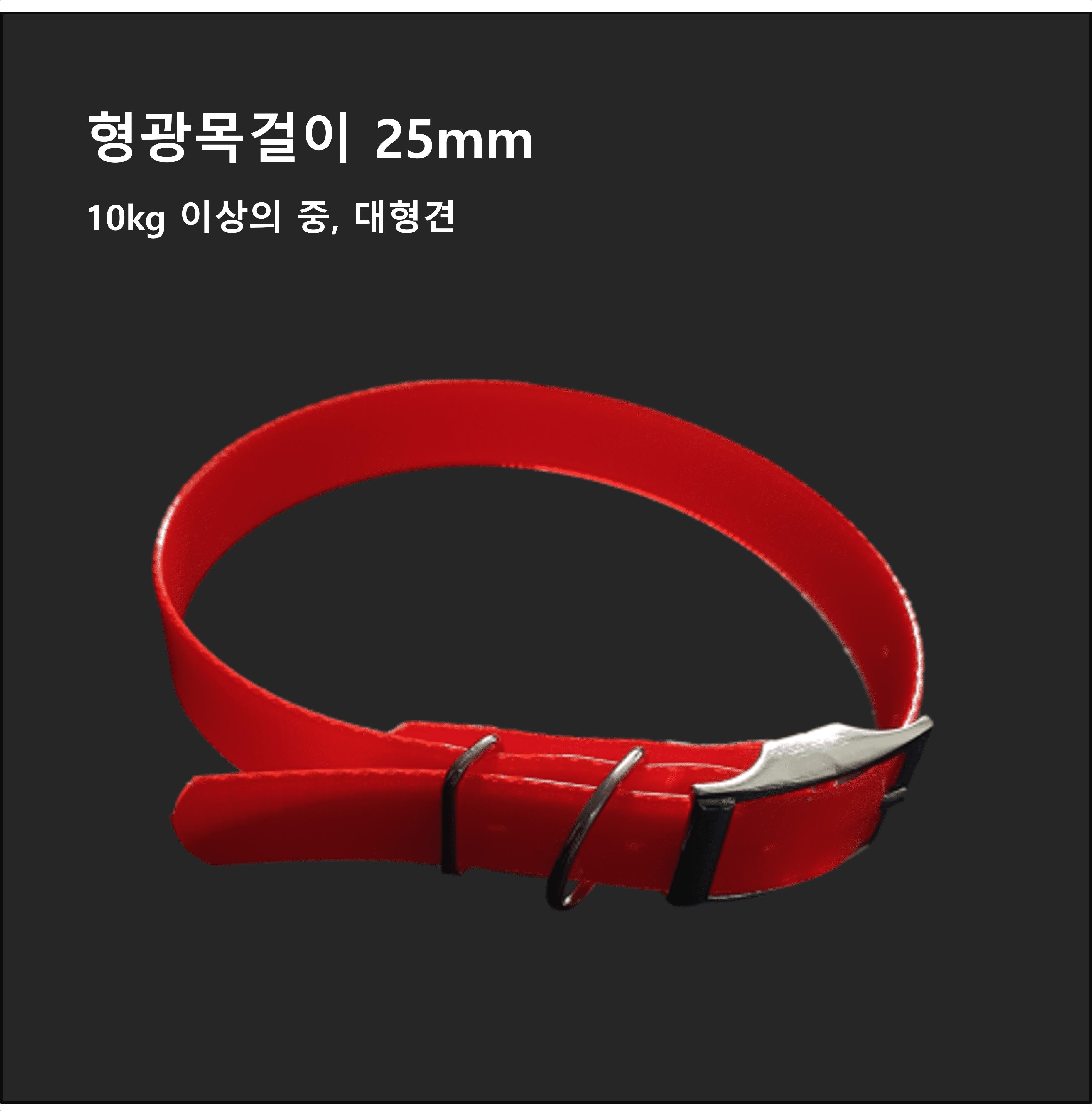 개목줄 개줄 형광 목걸이 25mm 중대형견 LED 반려견/목줄/줄/산책줄/강아지줄/강아지산책용품/강아지산책줄