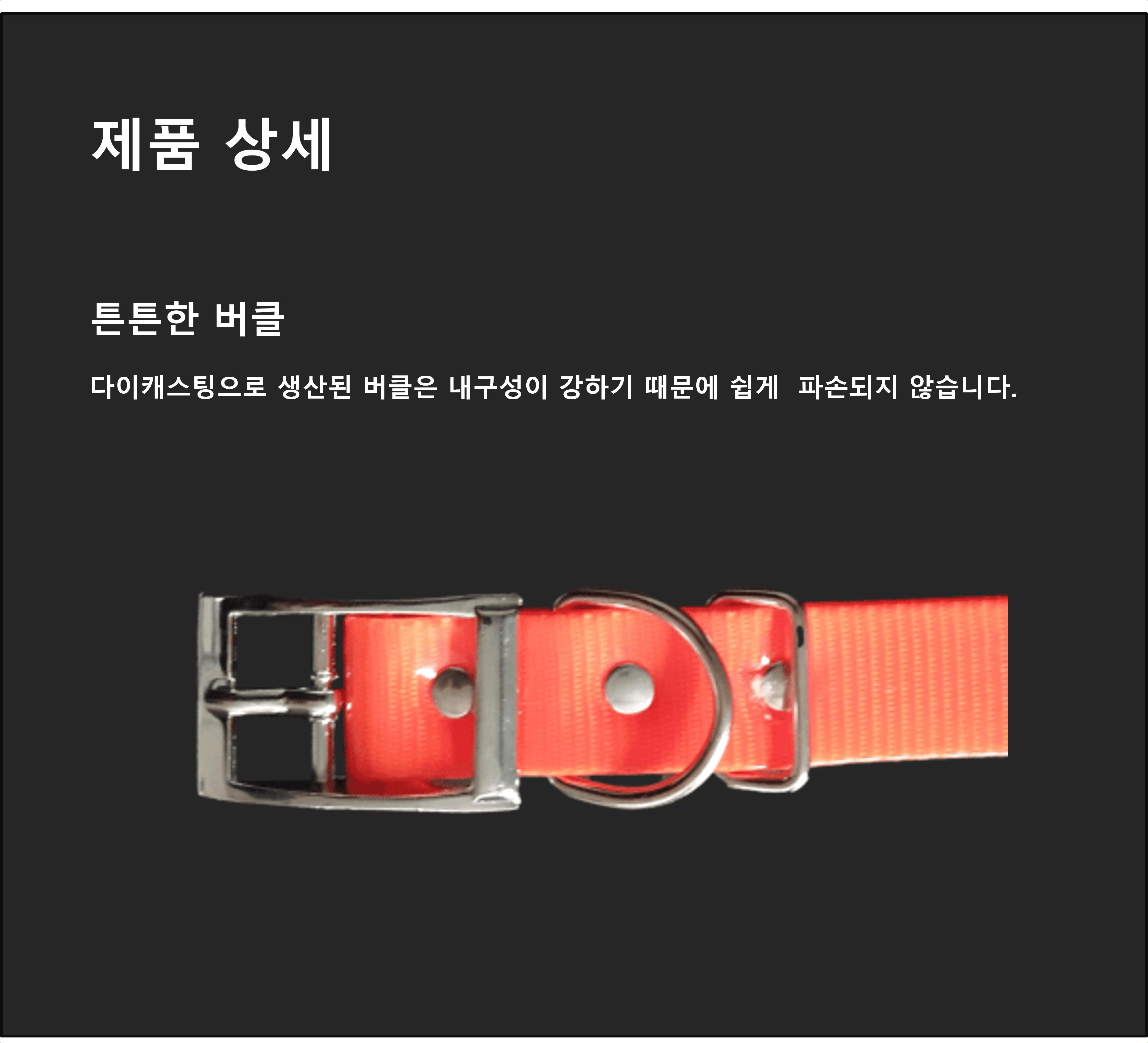 개목줄 개줄 형광 목걸이 25mm 중대형견 LED 반려견/목줄/줄/산책줄/강아지줄/강아지산책용품/강아지산책줄