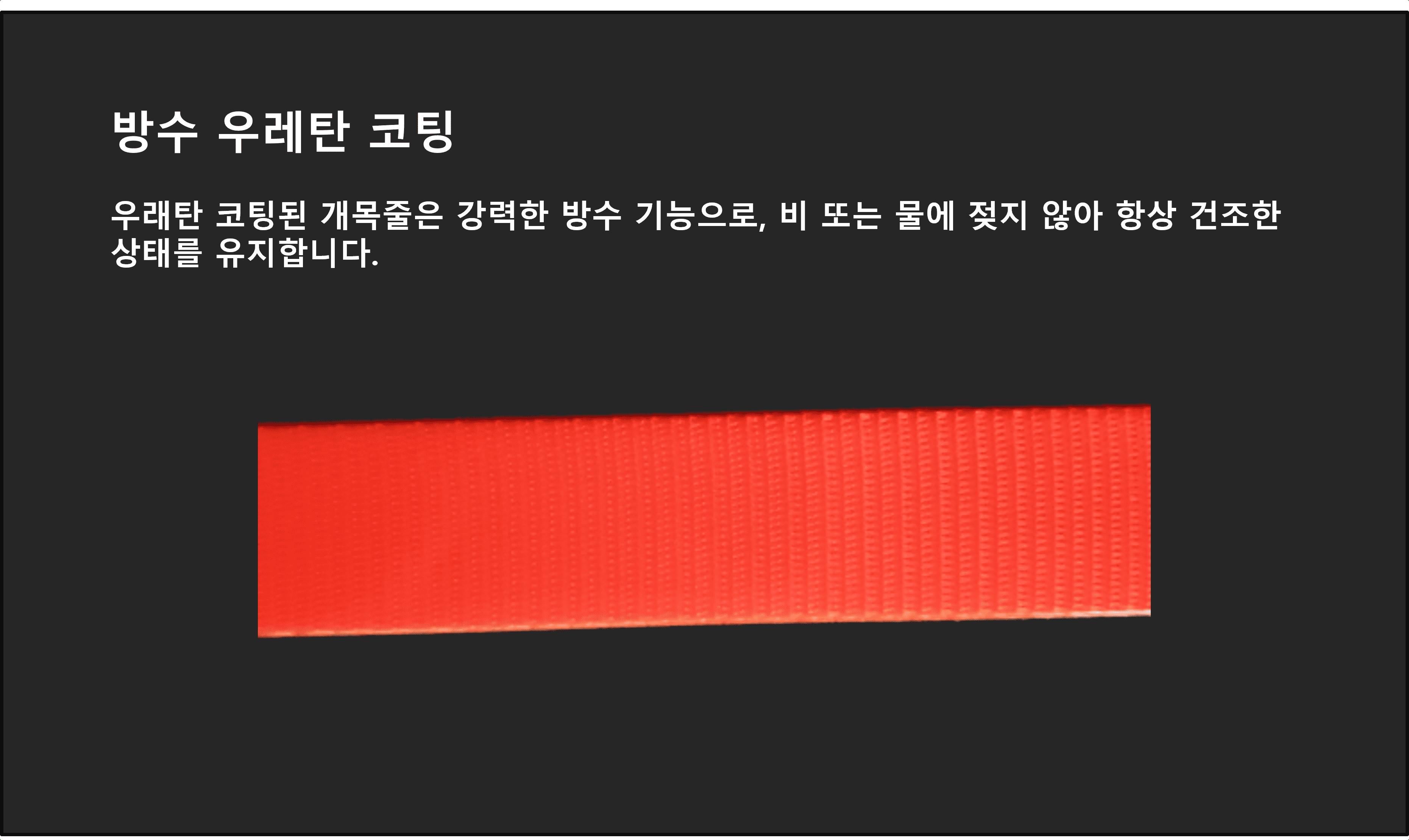 개목줄 개줄 형광 목걸이 25mm 중대형견 LED 반려견/목줄/줄/산책줄/강아지줄/강아지산책용품/강아지산책줄