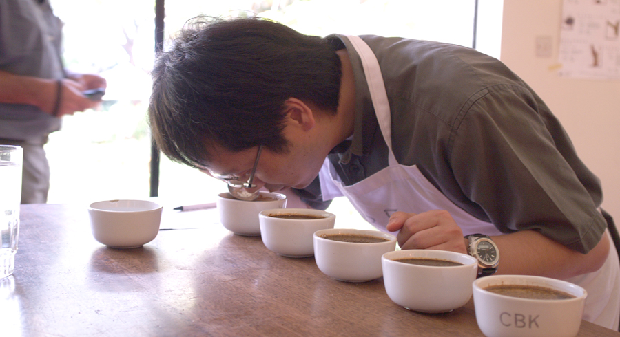 커피명가 엘에이티 310ml 콜드브루원액/커피/음료수/커피음료수/콜드브루커피/콜드블루커피/콜드브루/스페