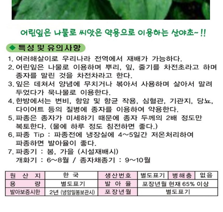 질경이 차전자 잎 차 나물 종자 산야초 씨앗 600g/씨/씨앗/질경이씨/질경이씨앗/질경이키우기/야채심기/산