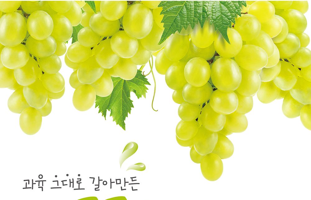 꽃샘 별난알맹이 청포도 파우치 500g X4/파우치과일음료수/파우치음료/즙/과일즙/과일음료/파우치음료/과일