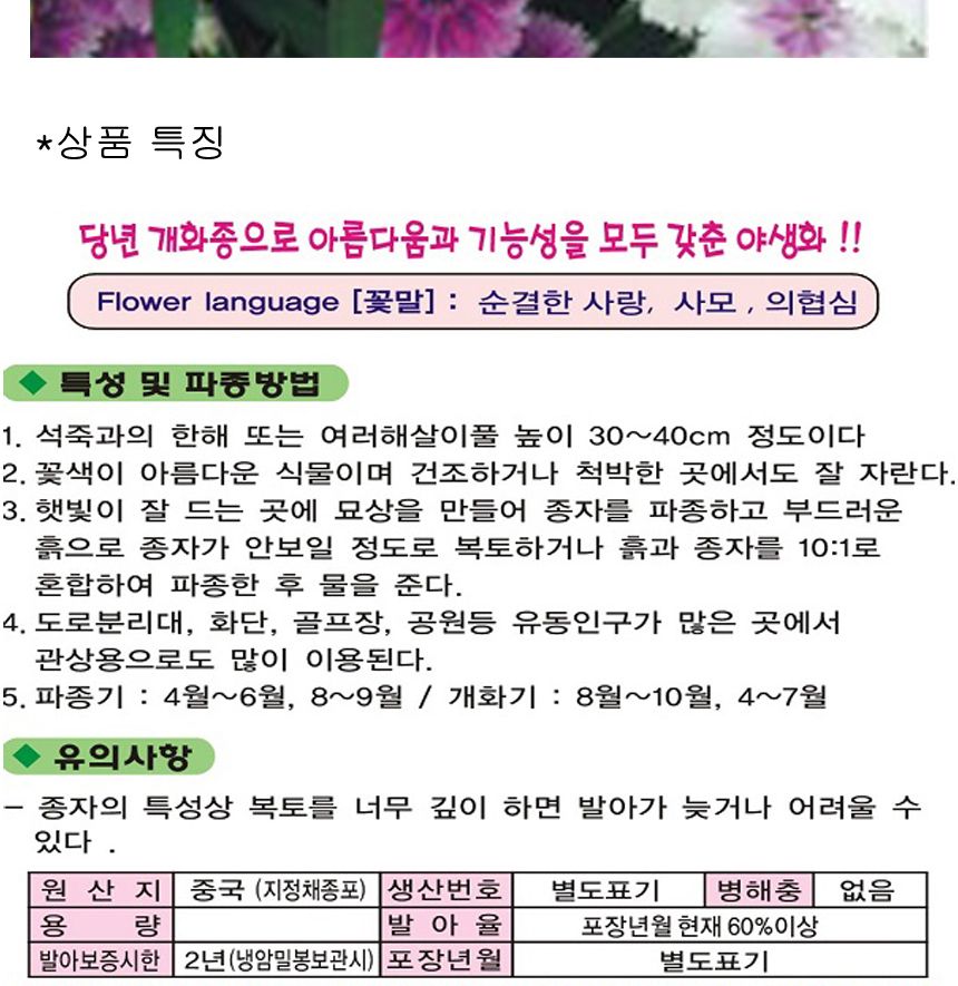 패랭이 꽃 씨앗 야생화 꽃씨 종자 품종 정원 500립/씨/씨앗/야생화씨/야생화씨앗/야생화키우기/꽃씨앗/정원