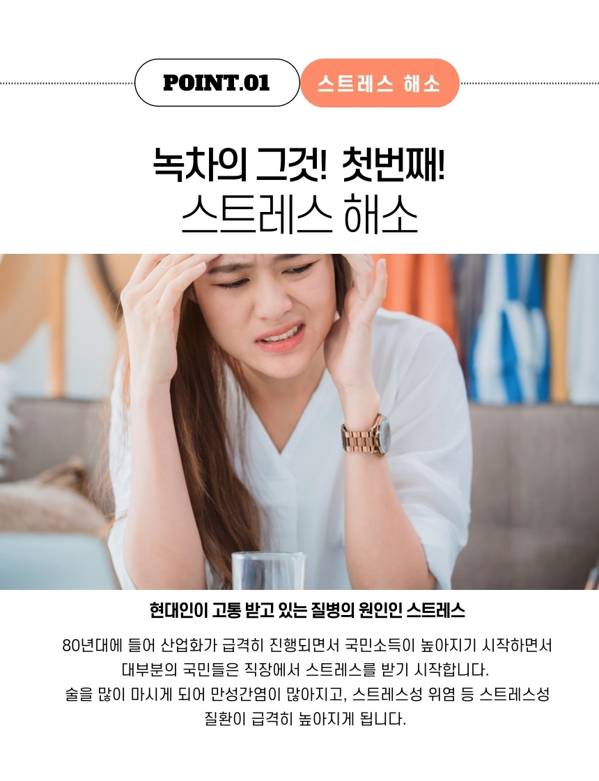 다희연 5월 녹차 티백 1.2g x 20포 제주도 오가닉 잎/녹차/엽차/잎차/녹차잎차/녹차잎/어린잎녹차/한국전통