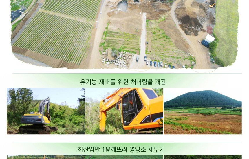 다희연 5월 녹차 티백 1.2g x 20포 제주도 오가닉 잎/녹차/엽차/잎차/녹차잎차/녹차잎/어린잎녹차/한국전통