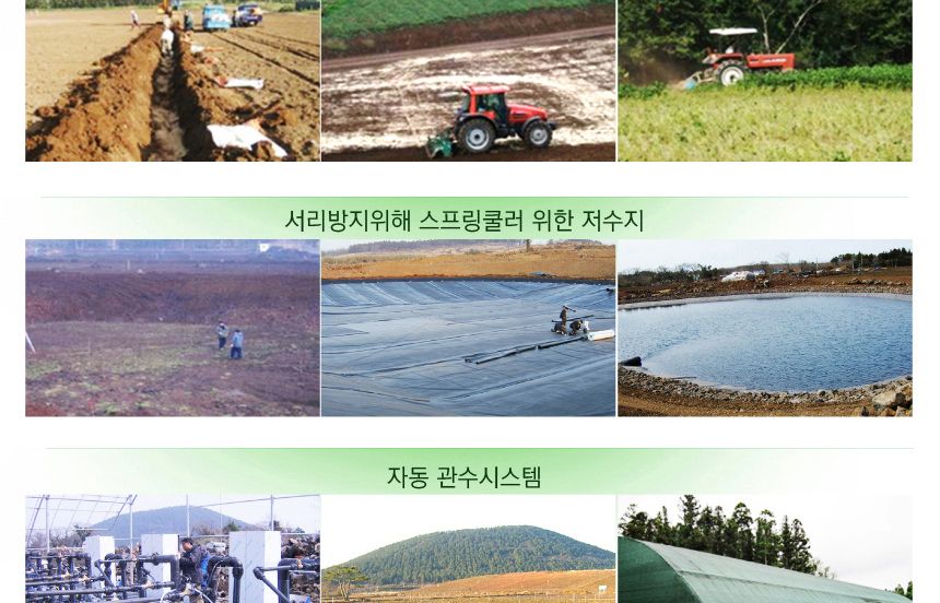 다희연 5월 녹차 티백 1.2g x 20포 제주도 오가닉 잎/녹차/엽차/잎차/녹차잎차/녹차잎/어린잎녹차/한국전통