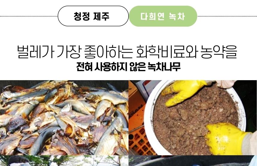 다희연 5월 녹차 40g 제주도 오가닉 잎차 엽차/차/녹차/새순녹차/제주잎차/녹차세트/녹차선물/녹차/엽차/잎