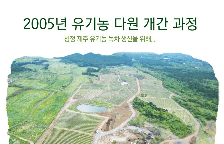 다희연 5월 녹차 40g 제주도 오가닉 잎차 엽차/차/녹차/새순녹차/제주잎차/녹차세트/녹차선물/녹차/엽차/잎