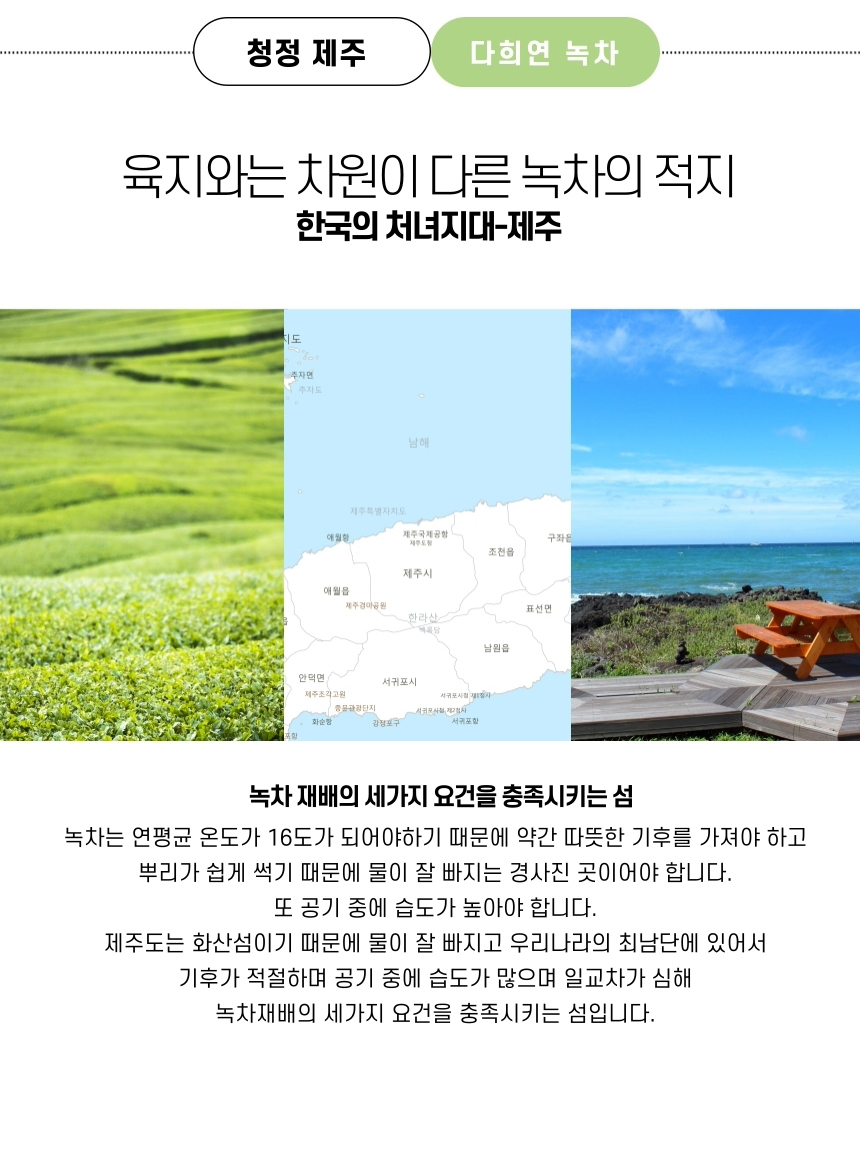 다희연 5월 가루 녹차 50g 제주도 오가닉 분말/녹차/엽차/잎차/녹차잎차/녹차잎/어린잎녹차/한국전통차/고