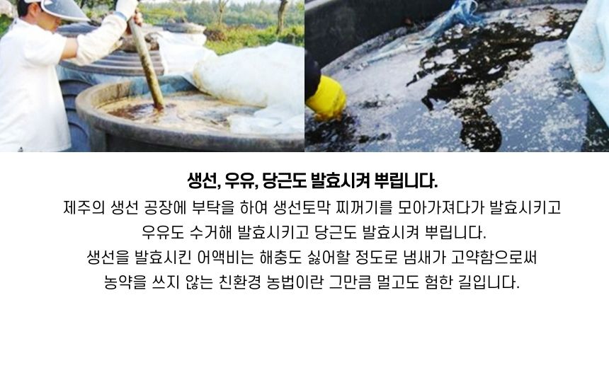 다희연 5월 가루 녹차 50g 제주도 오가닉 분말/녹차/엽차/잎차/녹차잎차/녹차잎/어린잎녹차/한국전통차/고