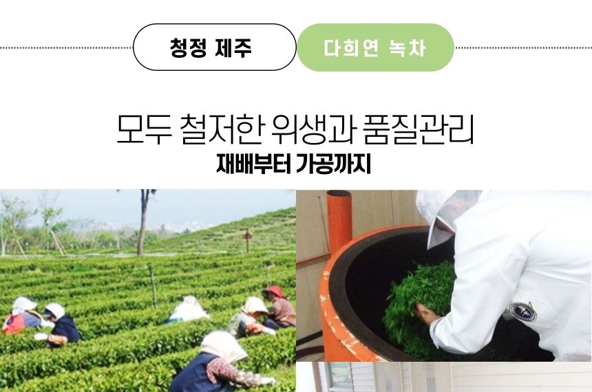 다희연 5월 가루 녹차 50g 제주도 오가닉 분말/녹차/엽차/잎차/녹차잎차/녹차잎/어린잎녹차/한국전통차/고