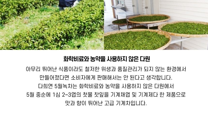다희연 5월 가루 녹차 50g 제주도 오가닉 분말/녹차/엽차/잎차/녹차잎차/녹차잎/어린잎녹차/한국전통차/고